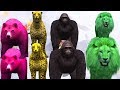 Wild Animals Babies Matching Game For Kids || Animals Rhymes Cartoons || Popular Nursery Rhymes