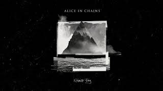 Watch Alice In Chains Drone video