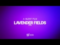 view Lavender Fields