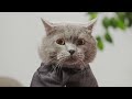 Employee of the Month - Aaron&39s Animals