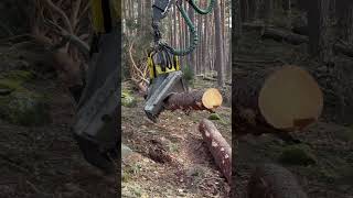 Harvester 1270G Processing Wood #Harvester #Johndeere #Viral #Trending #Farming #Wood #Tree #Love