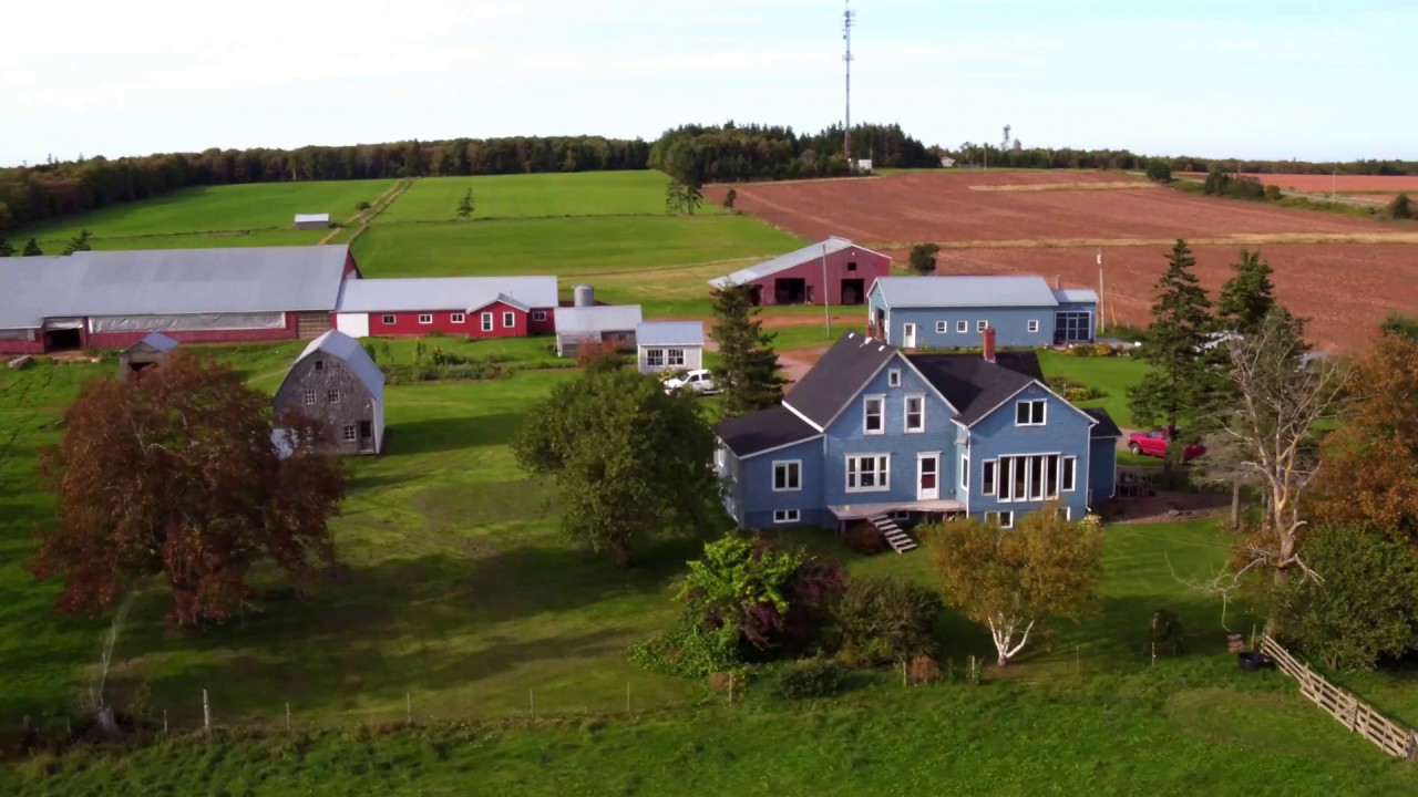 Sluts in Farm