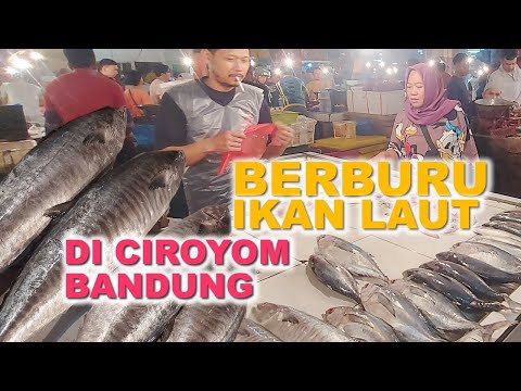 Berburu ikan laut di Ciroyom #hobahfamily #ikanlaut #ikanlautsegar #ciroyom #mancingmania #mancing