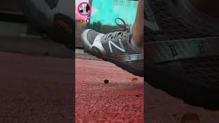 Snail Crushed Unnoticed At The Entrance