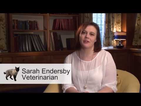 Feliway Diffuser Set Feliway Diffuser Set