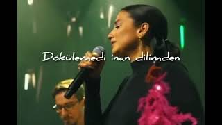 Gelmedi Elimden Dökülemedi Dilimden