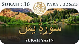 36 Surah Yaseen  | Para 22 & 23| Visual Quran With Urdu Translation