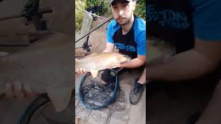 Barbel On The Wharfe