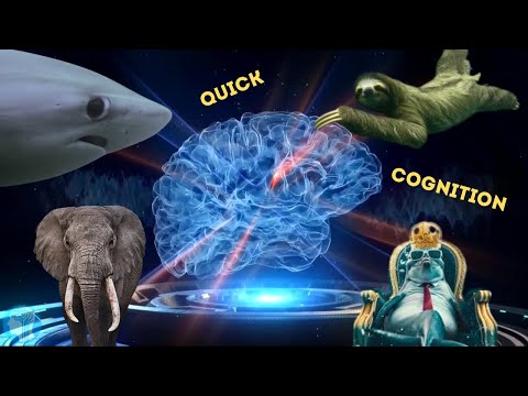 Does Your Brain Take Out the Trash? These Facts Will Shock You!