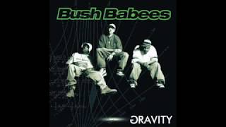 Watch Bush Babees Gravity video