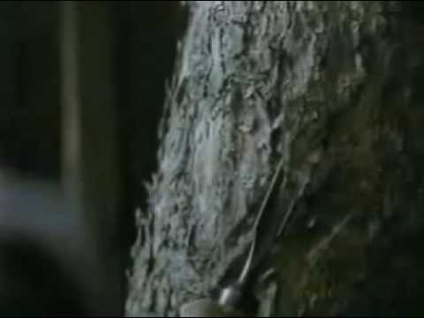 Ranker Video