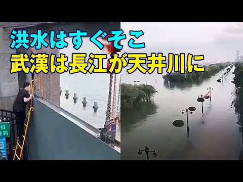 民○党類ですが人柄は七難隠せるのか YouTube動画>6本 ->画像>45枚 