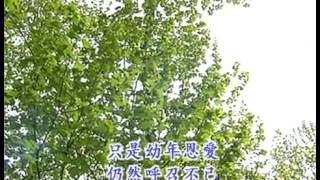 回归主自己
