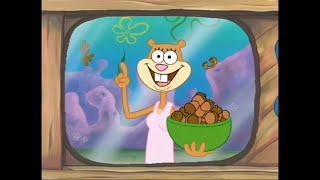 Spongebob Squarepants Do Not Disturb Slow Motion 2X