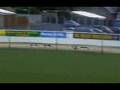 Greyhound falls but wins the race