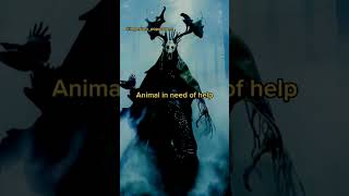 Strangest Sounds Recorded In The Woods Mythical Mythology World