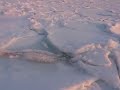 Video Стародубск - рыбаки на льдинах