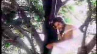 Watch Watchmen Boneyard Tree video