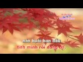 TC Dau Chan Ky Niem=song ca voi Linh Tien