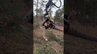 Impressive Work With The 1270G Harvester #Harvester #Johndeere #Viral #Wood #Tree #Trending #Cute