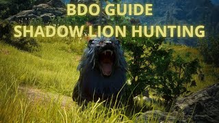 Bdo Guide - Shadow Lion Hunting 2025