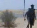 سيول ونزريك الشاطي (بحيرة )2009