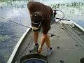 Largemouth Bass Frog fishing