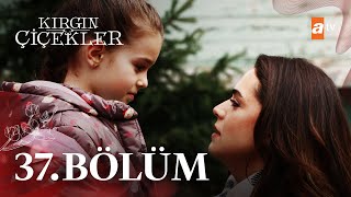 Kırgın Çiçekler 37. Bölüm - atv