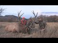 Bruce elk hunt 09 BMR