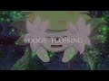 6DOGS - FLOSSING