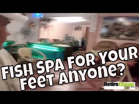 Chiang Mai - How about a Fish Massage with That Pasta? Chiang Mai - How about a Fish Massage with That Pasta?