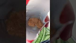 Kenyot Susu