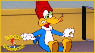 Woody Woodpecker Show Inn Trouble 1 Hour Compilation Videos For Kids