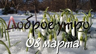 Доброе Утро - Выпуск 102 (08.03.2019)