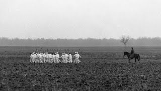 The Business Of Punishment How Forced Prison Labor Has Generated Revenue Since The Colonial Era