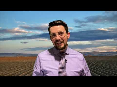 All Videos