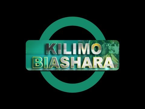 Hydroponics of lettuce selfmade hydroponics develop system