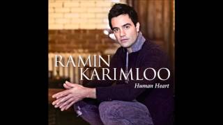 Watch Ramin Karimloo Everything I Do I Do It For You video