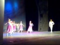 Житомиряне в шубах смотрели "Лебединое озеро" SKANDAL.zt.ua