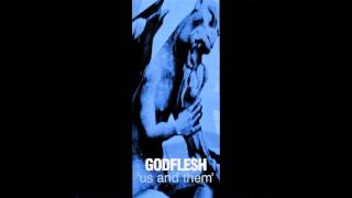 Watch Godflesh Defiled video