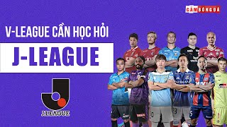 BoI619ICWQU Video Image