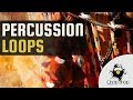 Percussion Sample Toolkit - Percussion Loops