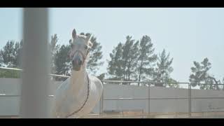 Menem Hezreti Abbas Horse Rider