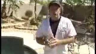 Teach your dog to Swim | SIT MEANS SIT DOG TRAINING