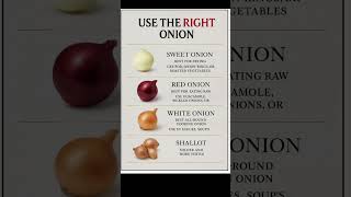 Stop Using The Wrong Onion A Chefs Guide To Onions