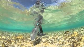 Trailer: Waypoints from Confluence Films - Fly Fishing Film