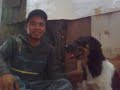 Asan Anjing images Asan Anjing