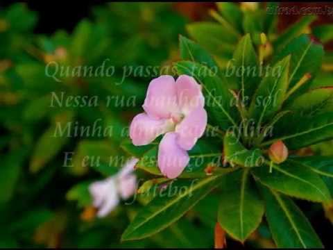 Ah, Se Eu Pudesse Video