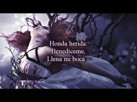 Delirio Video