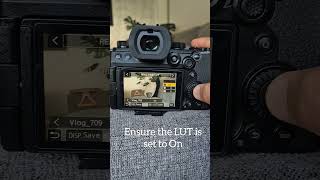 How To Setup Real Time Lut On Lumix Camera ? Live Filters Luts Looks Cinematic